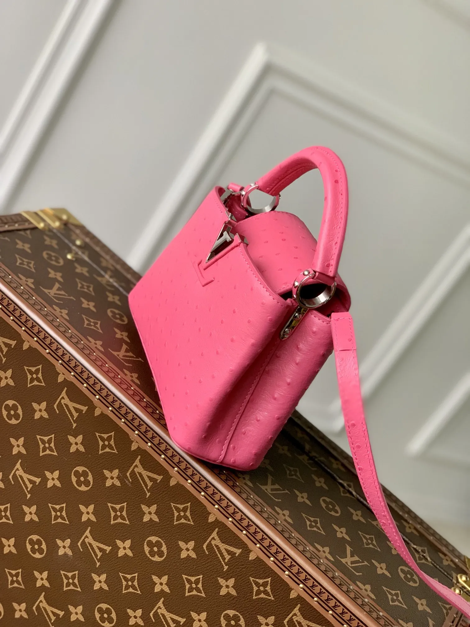 Louis Vuitton bag - LITELUX