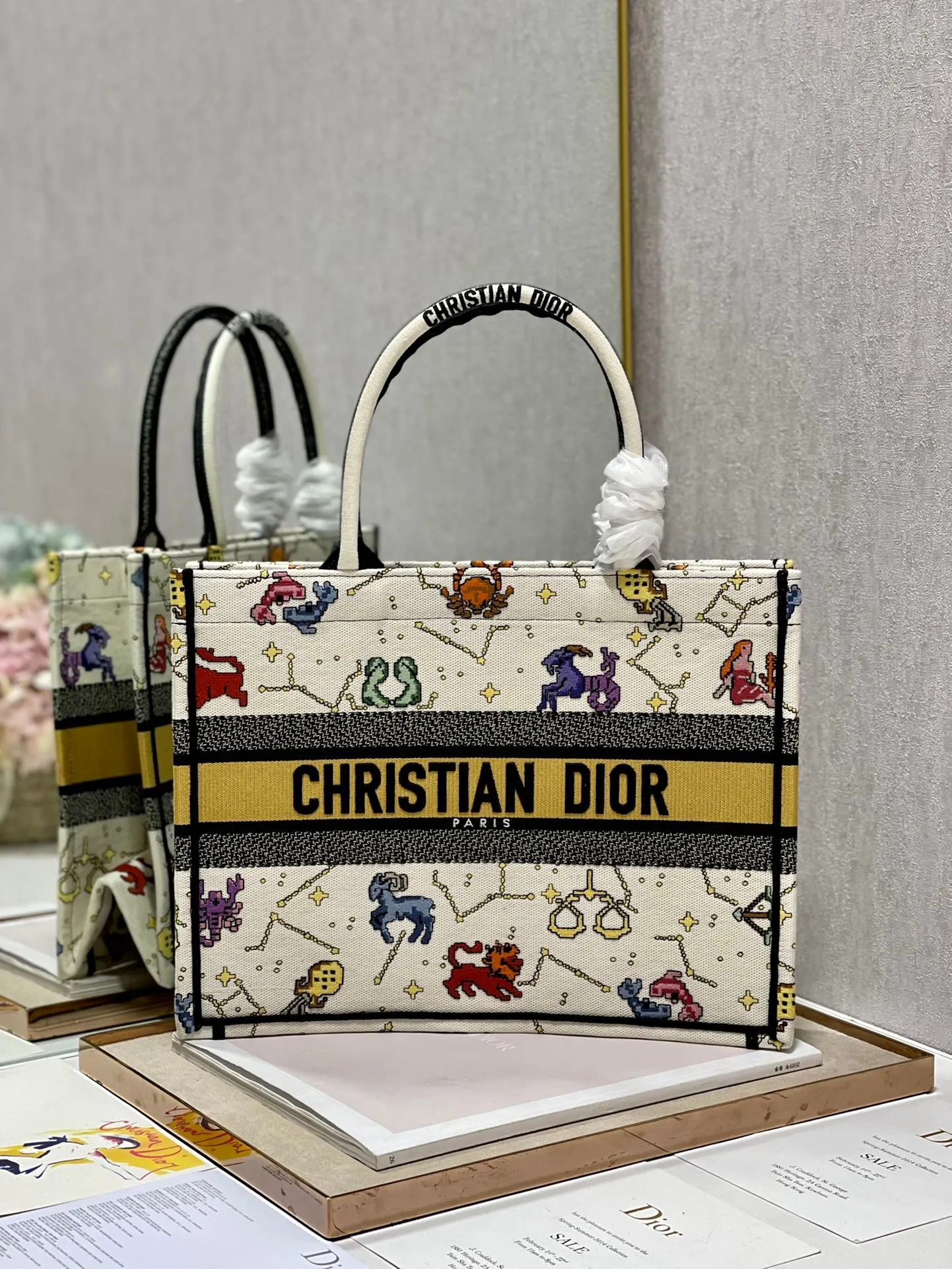 Dior Bag  – 120092239 - LITELUX