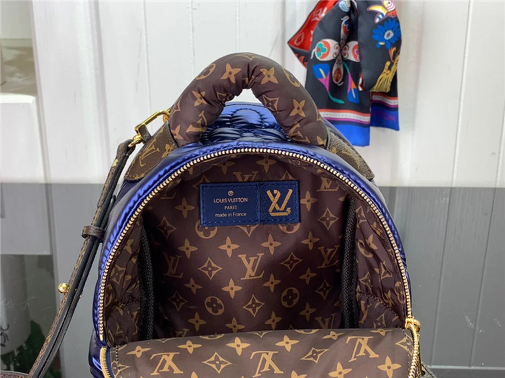 Louis Vuitton Backpack - LITELUX