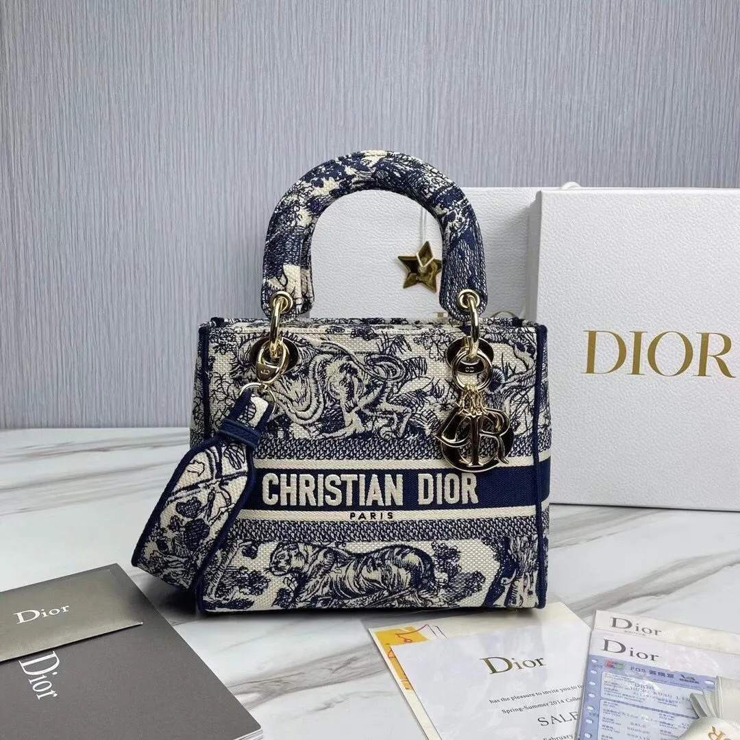 Dior bag - LITELUX