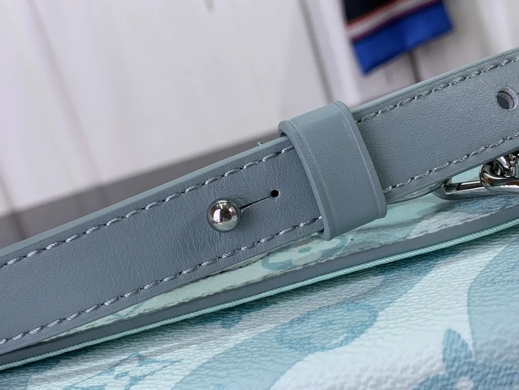 Louis Vuitton bag - LITELUX