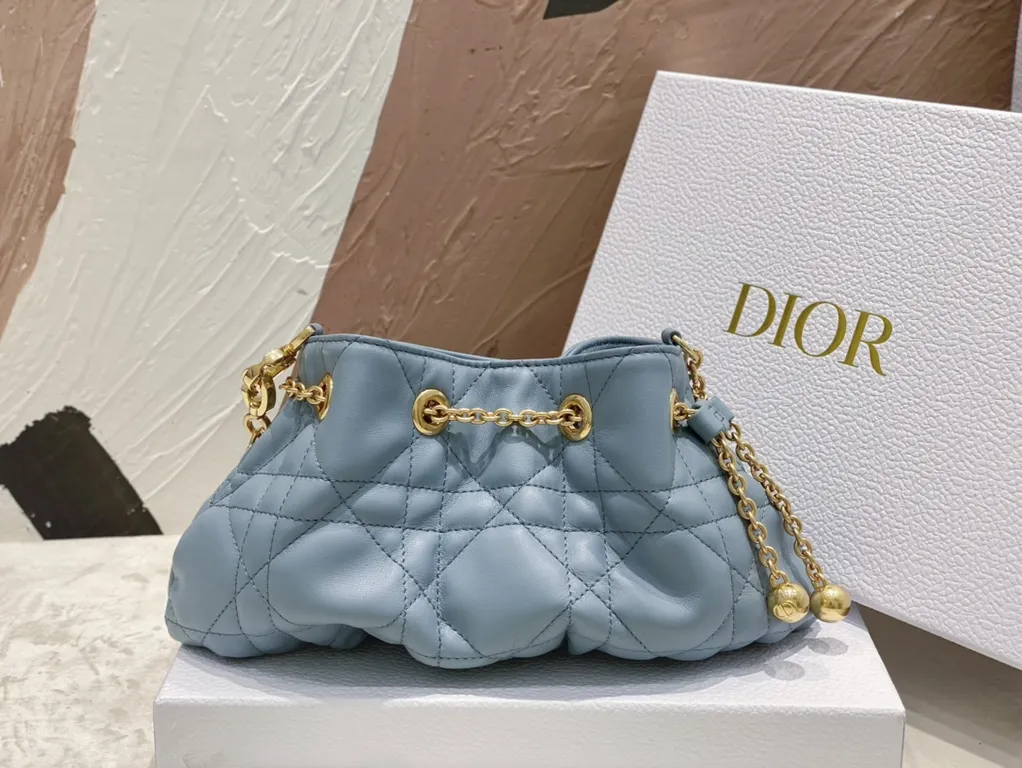 Dior bag - LITELUX