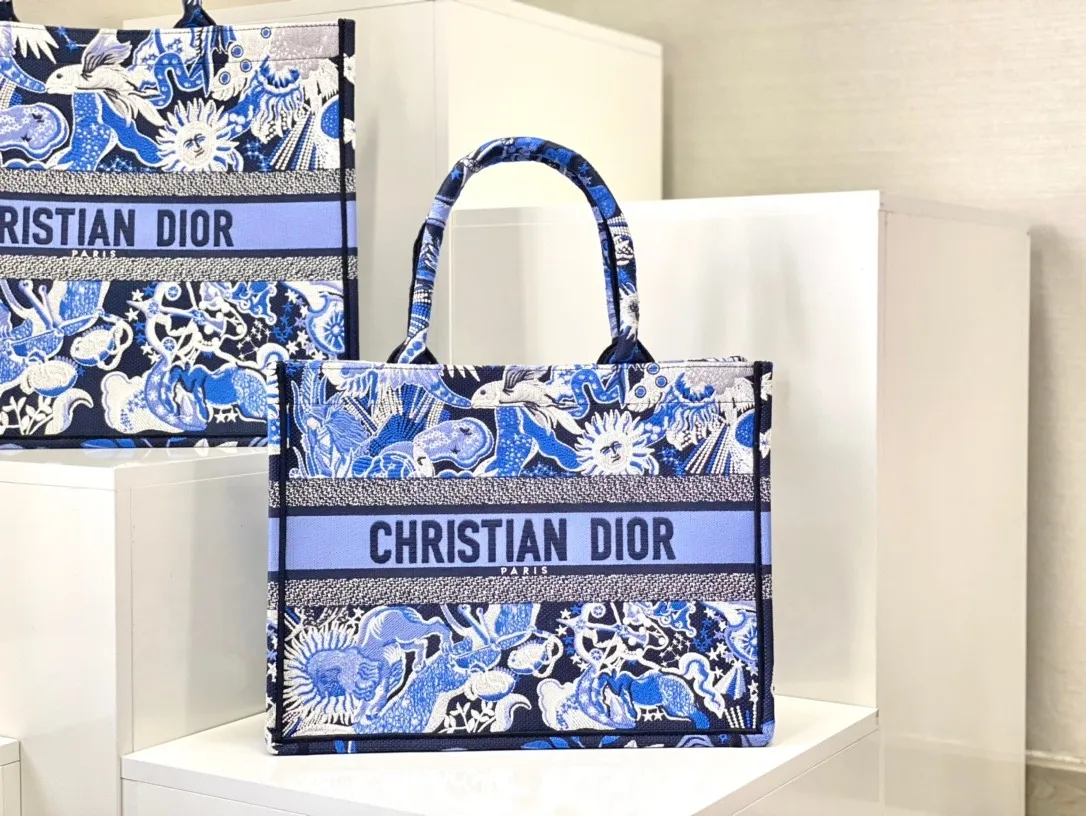 Dior Bag  – 118287371 - LITELUX