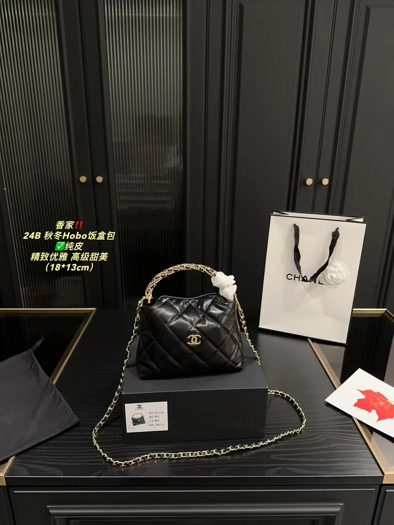 2024 Chanel bag hobo - LITELUX