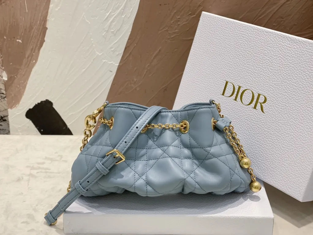 Dior bag - LITELUX
