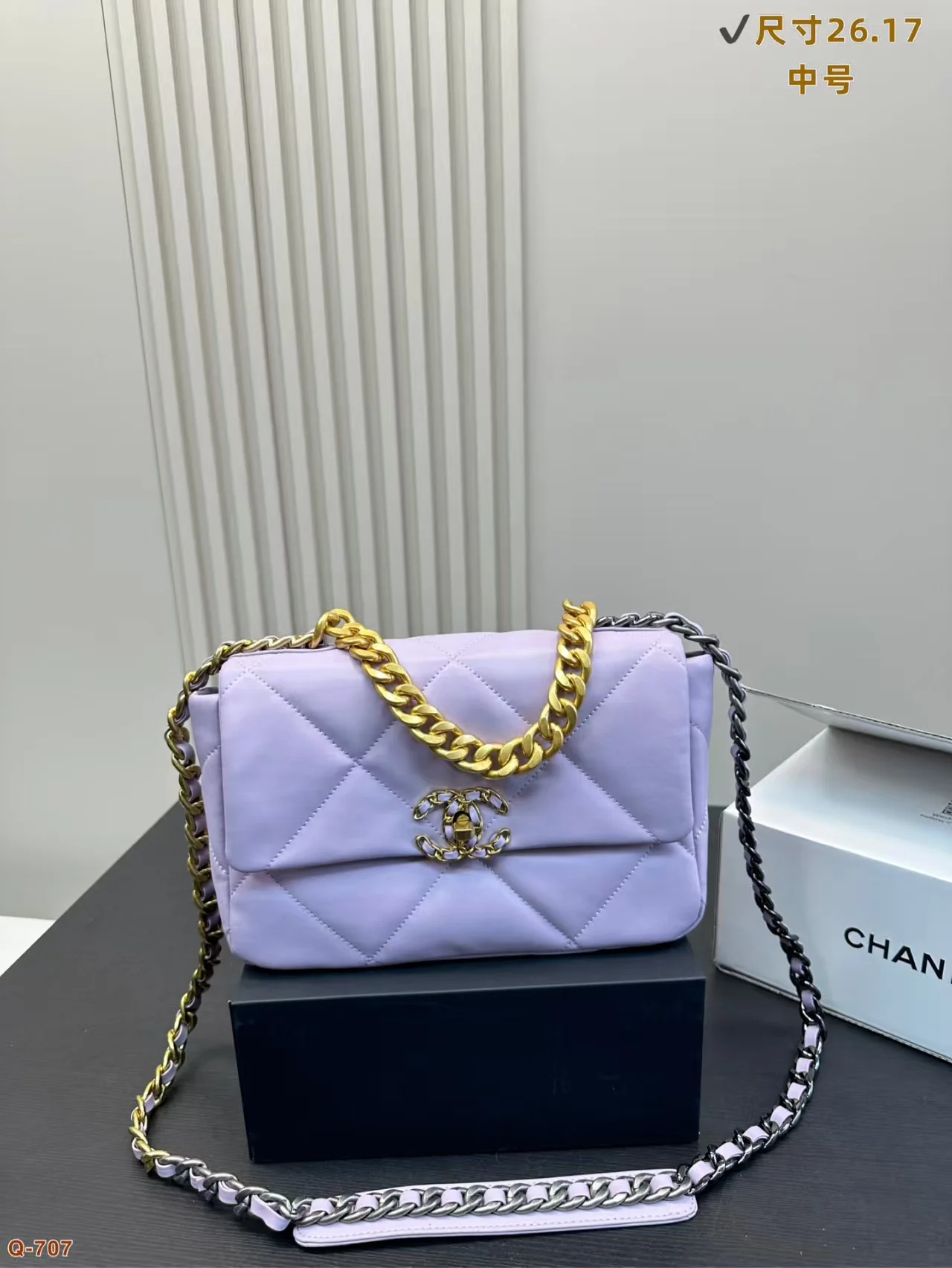 2024 Chanel 19 Woc bag - LITELUX
