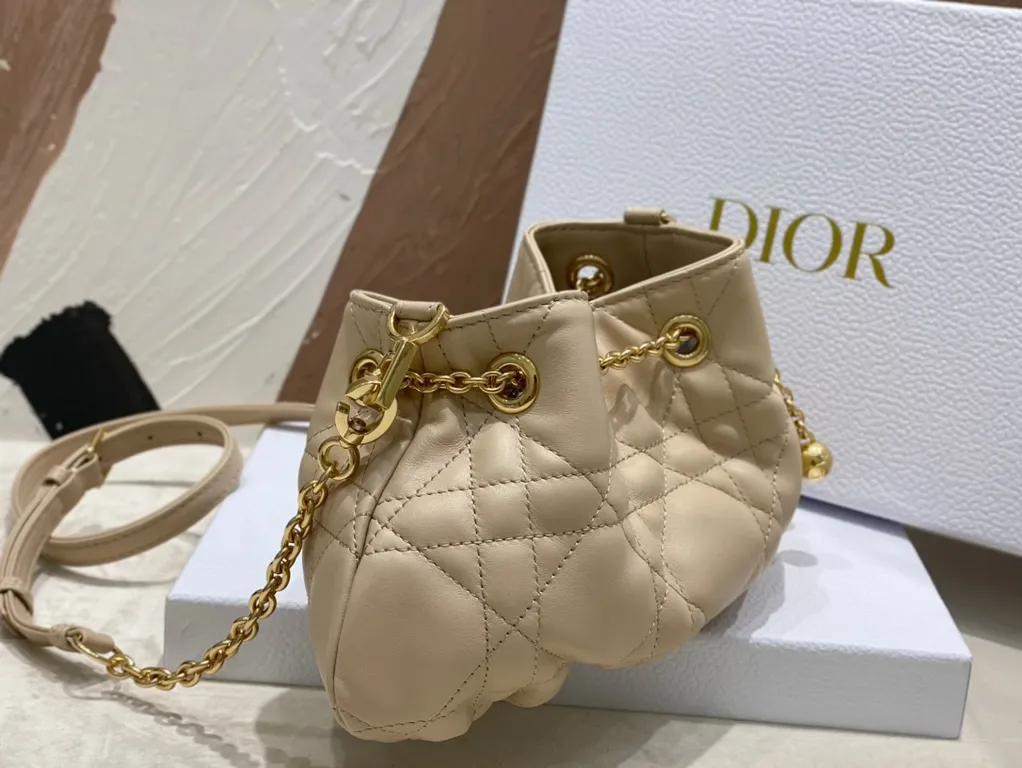 Dior bag - LITELUX