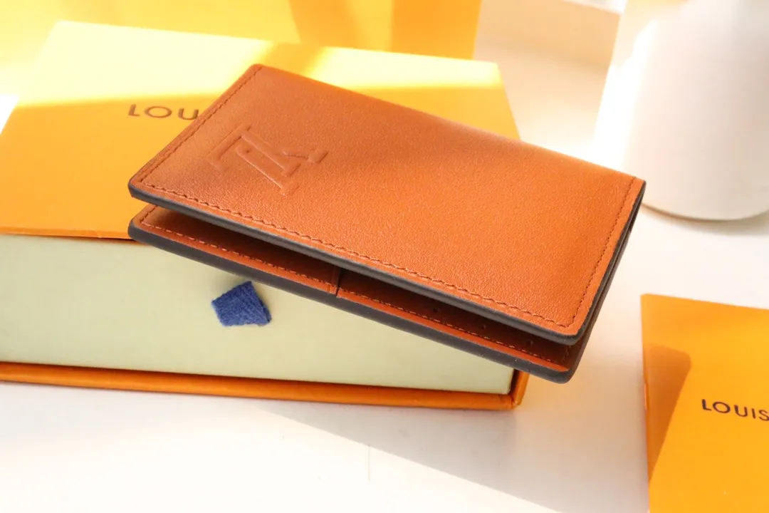 Louis Vuitton bag - LITELUX