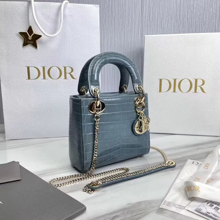 Dior bag - LITELUX