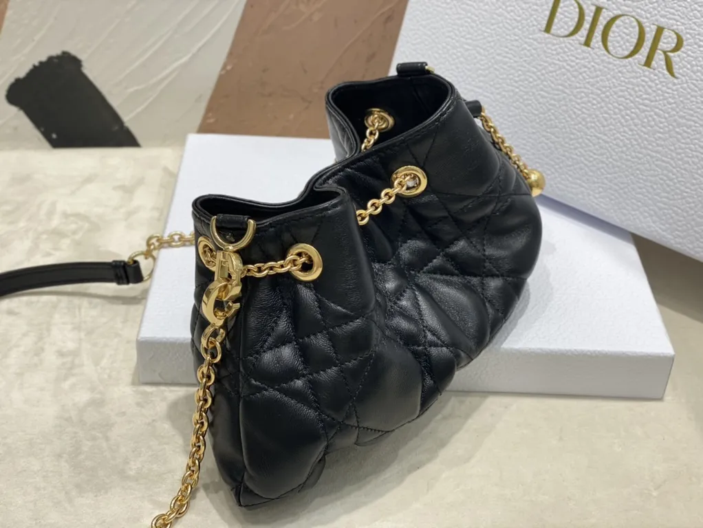 Dior bag - LITELUX