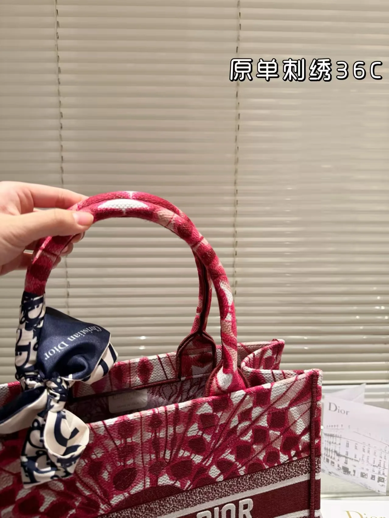 2025 Dior book tote - LITELUX