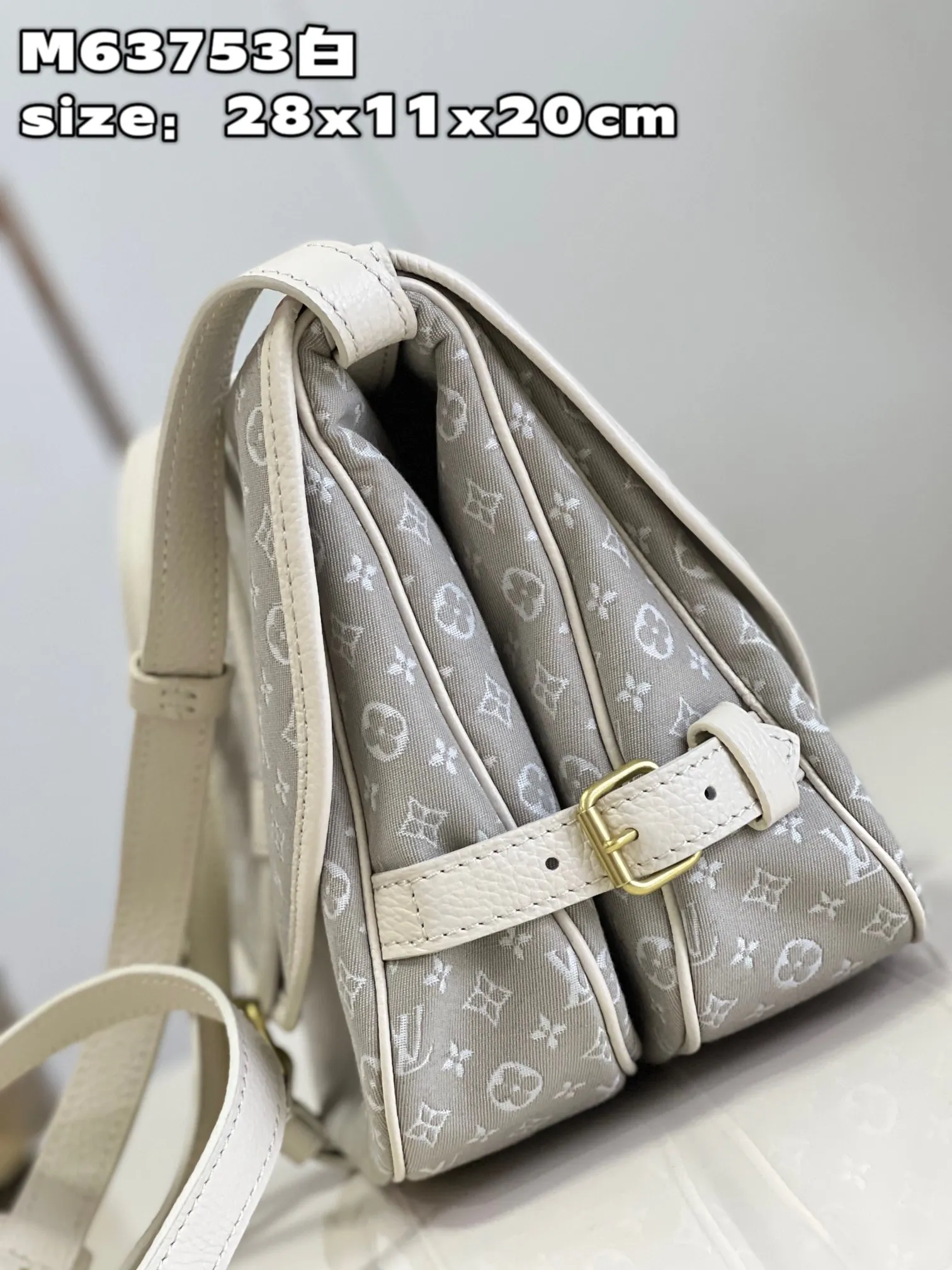 Louis Vuitton bag - LITELUX