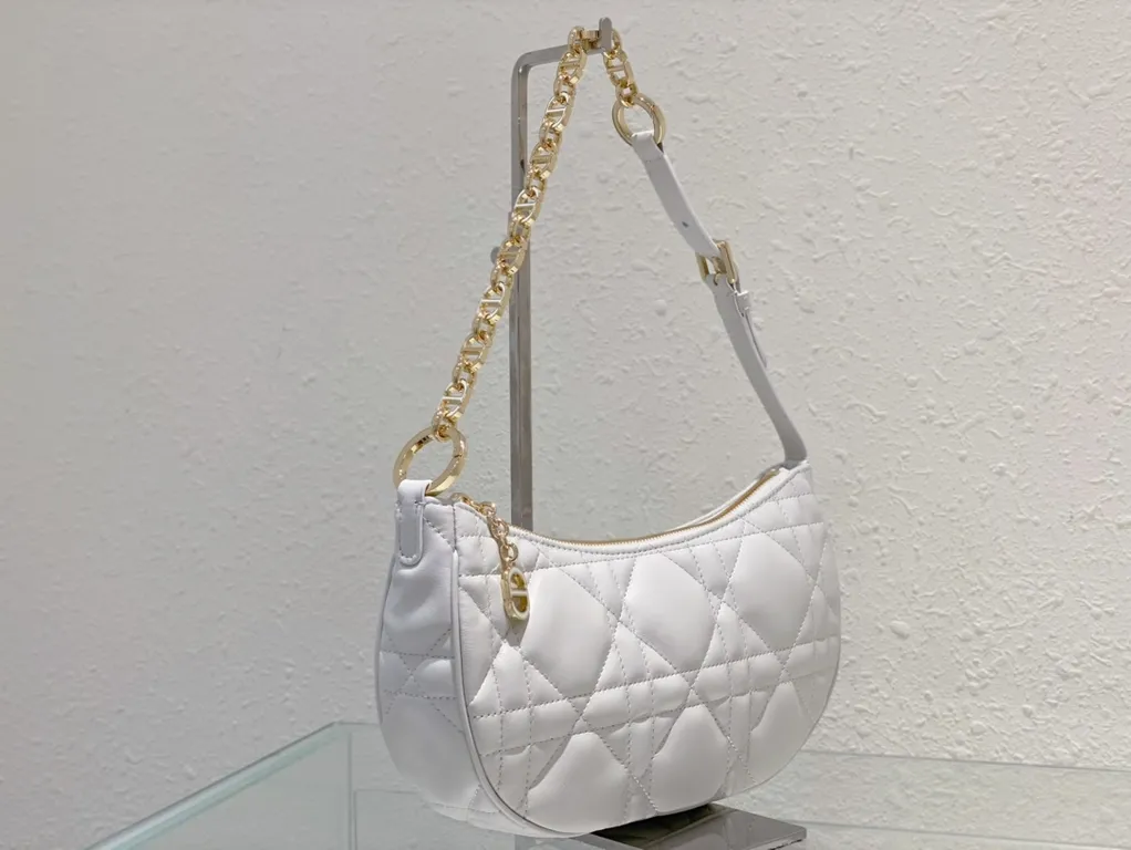 Dior bag - LITELUX