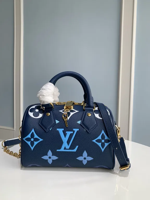 Louis Vuitton bag - LITELUX