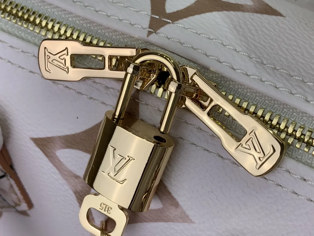 Louis Vuitton bag - LITELUX