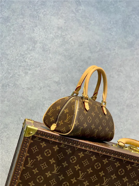Louis Vuitton Bag - LITELUX