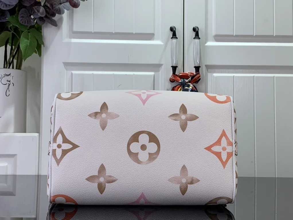 Louis Vuitton bag - LITELUX