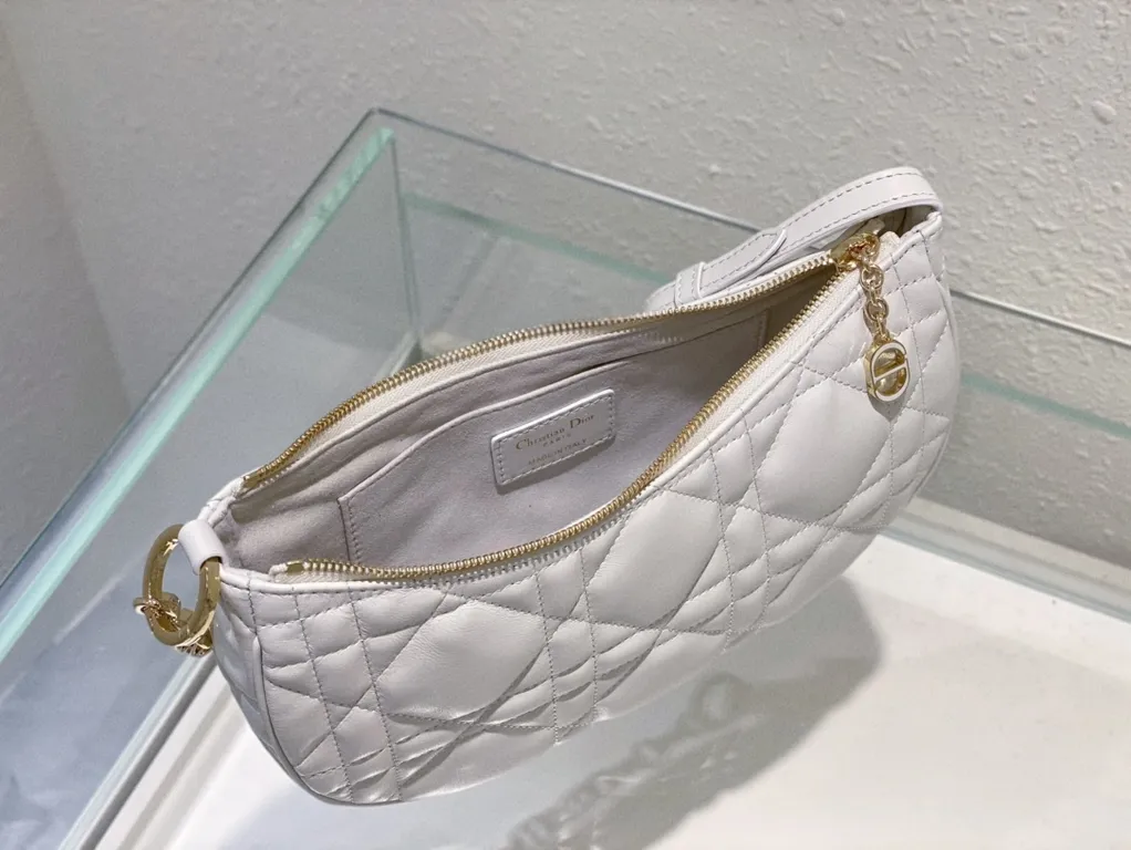 Dior bag - LITELUX
