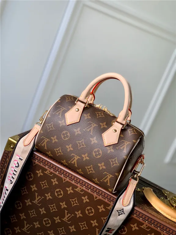 Louis Vuitton Bag - LITELUX