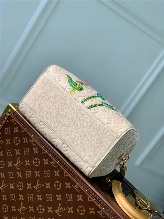 Louis Vuitton Bag - LITELUX
