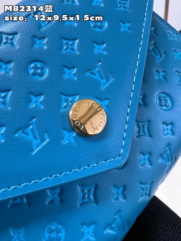 Louis Vuitton bag - LITELUX