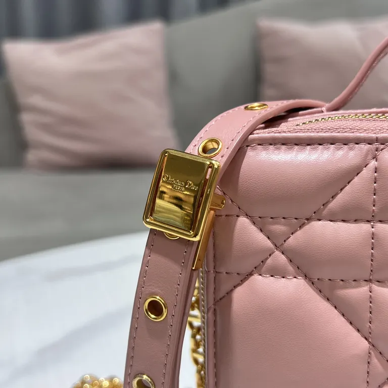Dior bag - LITELUX