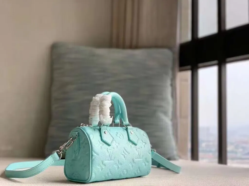 Louis Vuitton bag - LITELUX