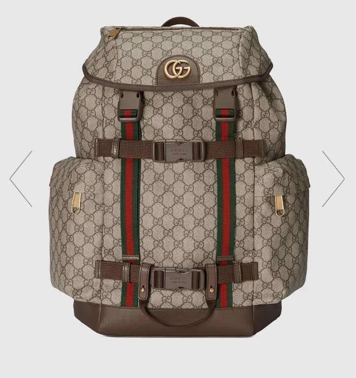 Gucci bag - LITELUX