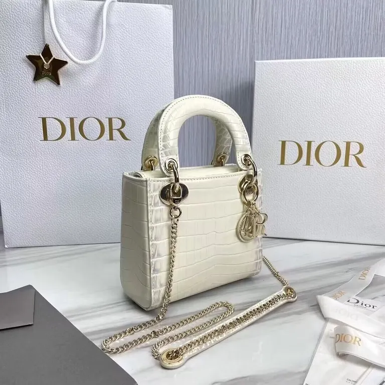 Dior bag - LITELUX