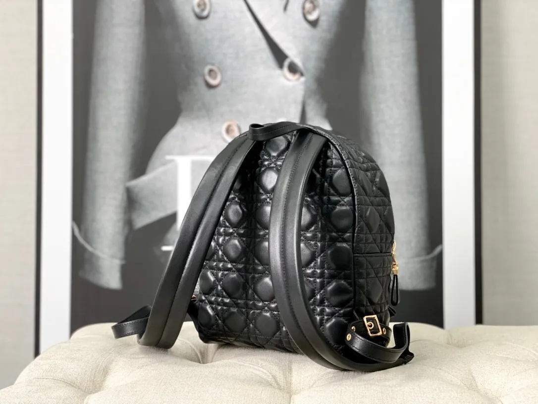 Dior Bag  – 116234150 - LITELUX