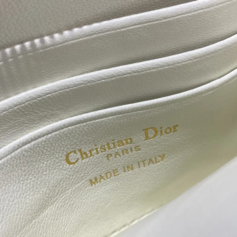 Dior bag - LITELUX
