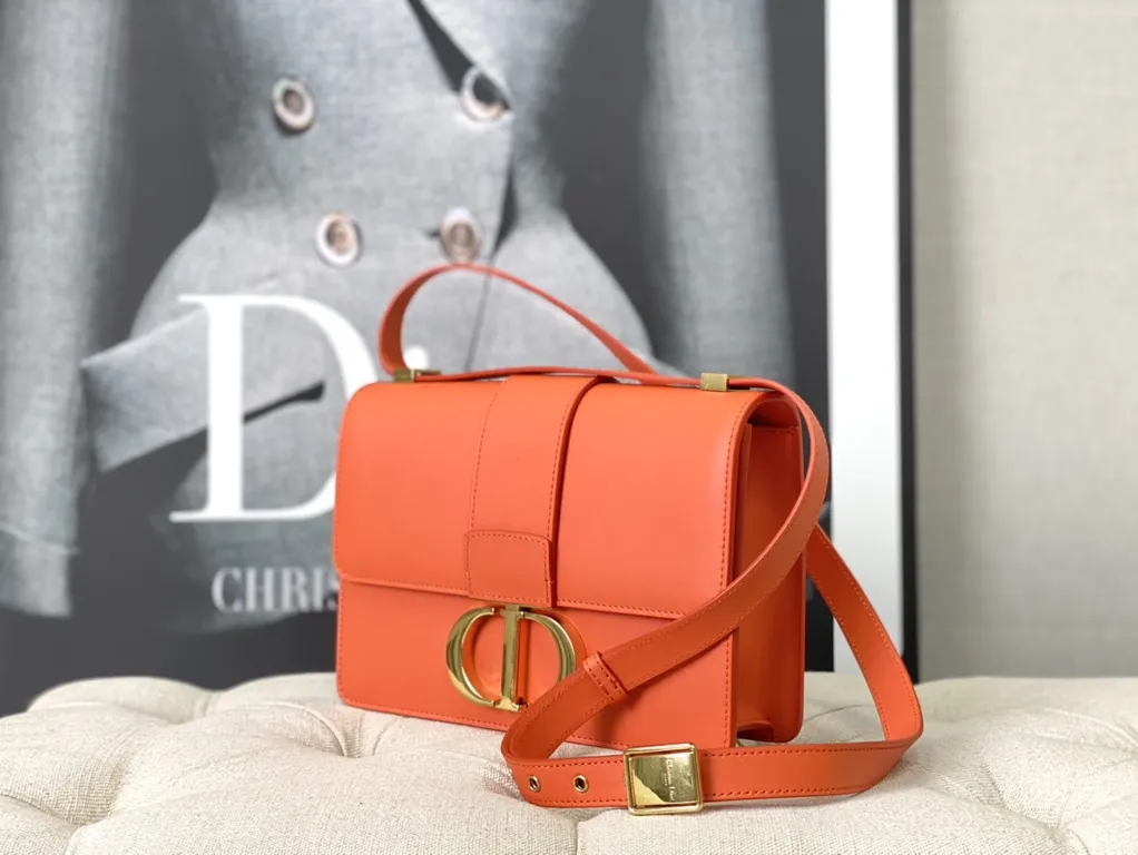 Dior bag - LITELUX