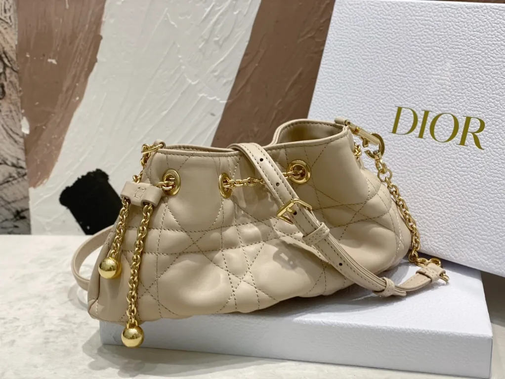Dior bag - LITELUX