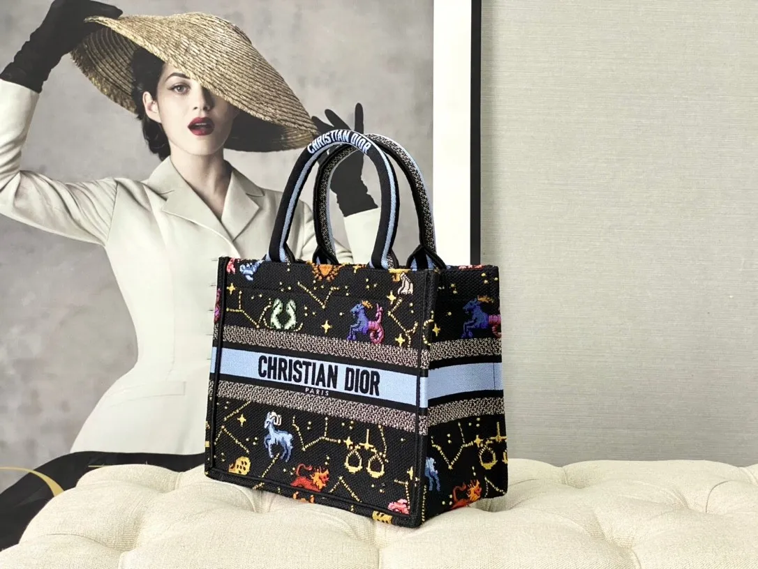 Dior Bag  – 120668126 - LITELUX