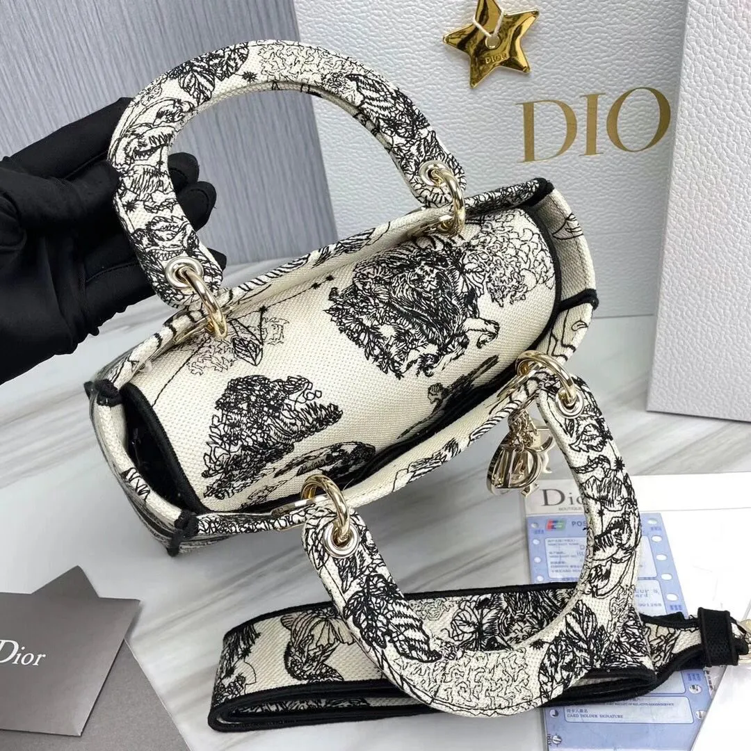 Dior bag - LITELUX