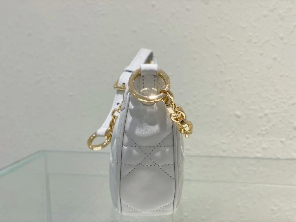 Dior bag - LITELUX