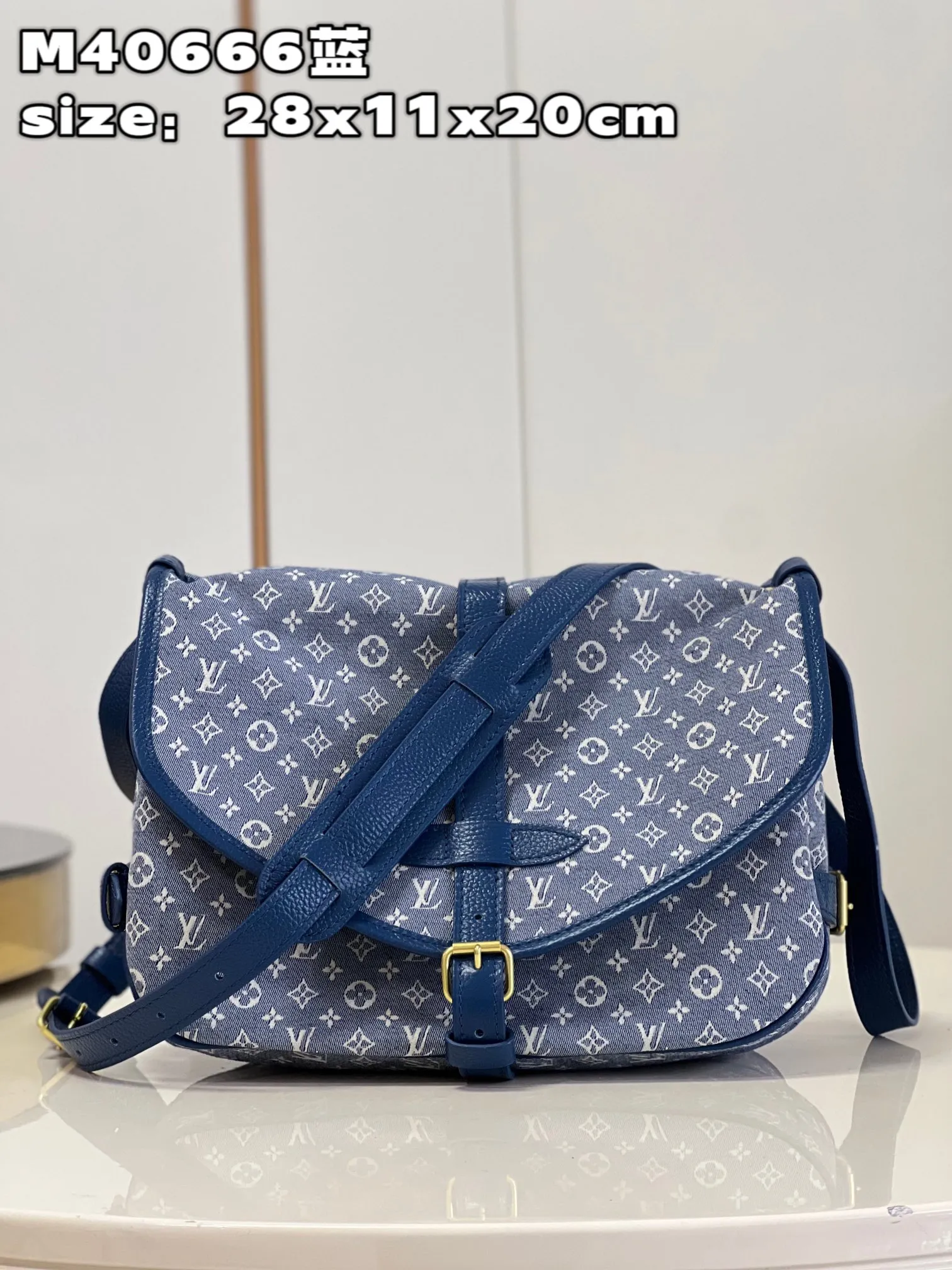 Louis Vuitton bag - LITELUX