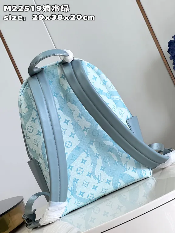 Louis Vuitton bag - LITELUX