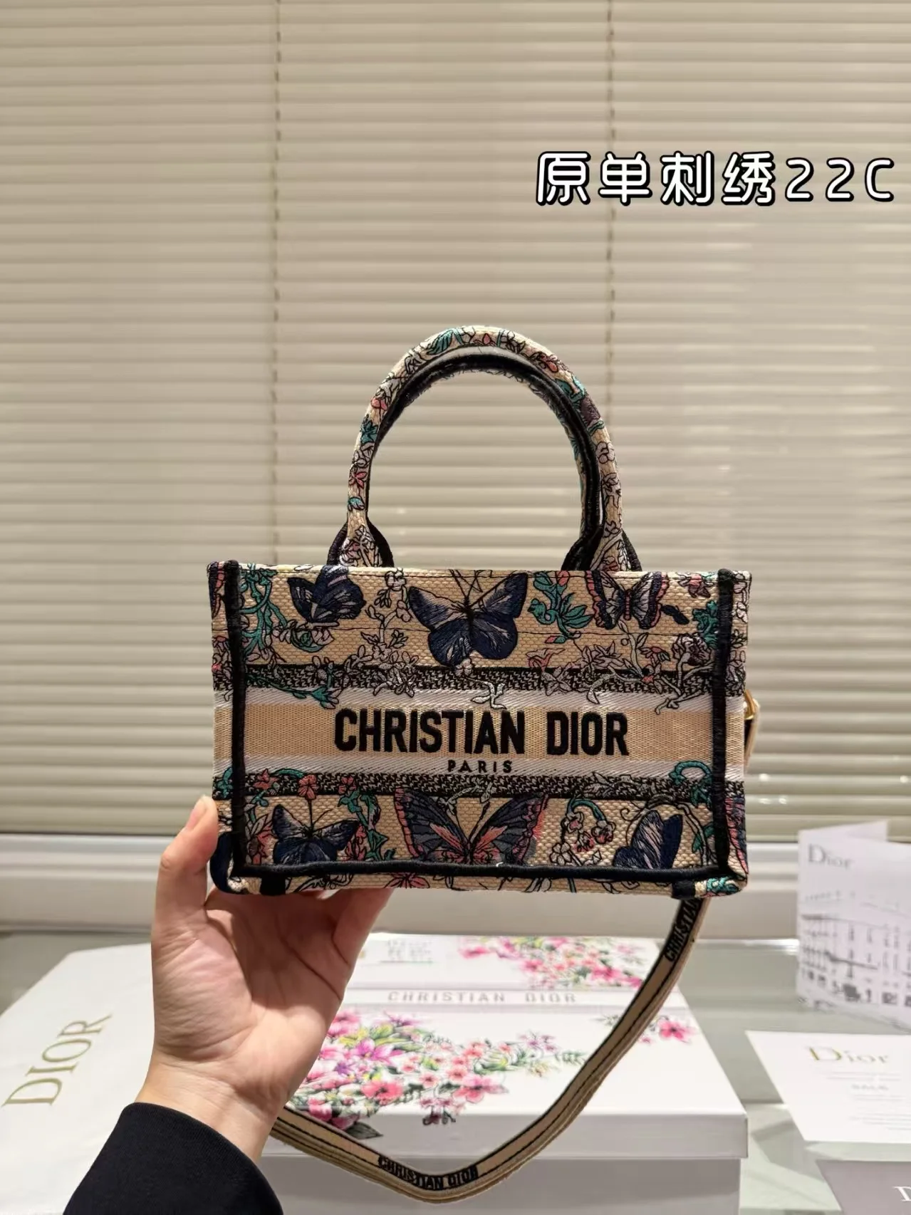 2025 Dior book tote - LITELUX