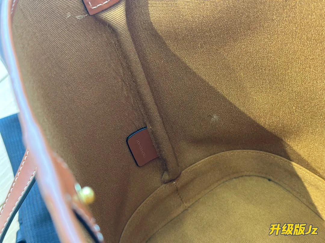 CELINE presbyopia bucket bag - LITELUX