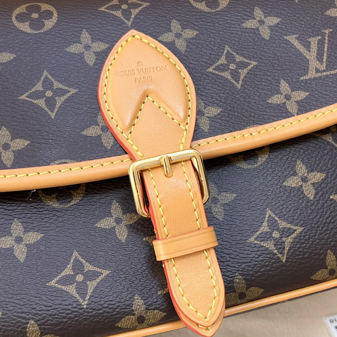 Louis Vuitton bag - LITELUX