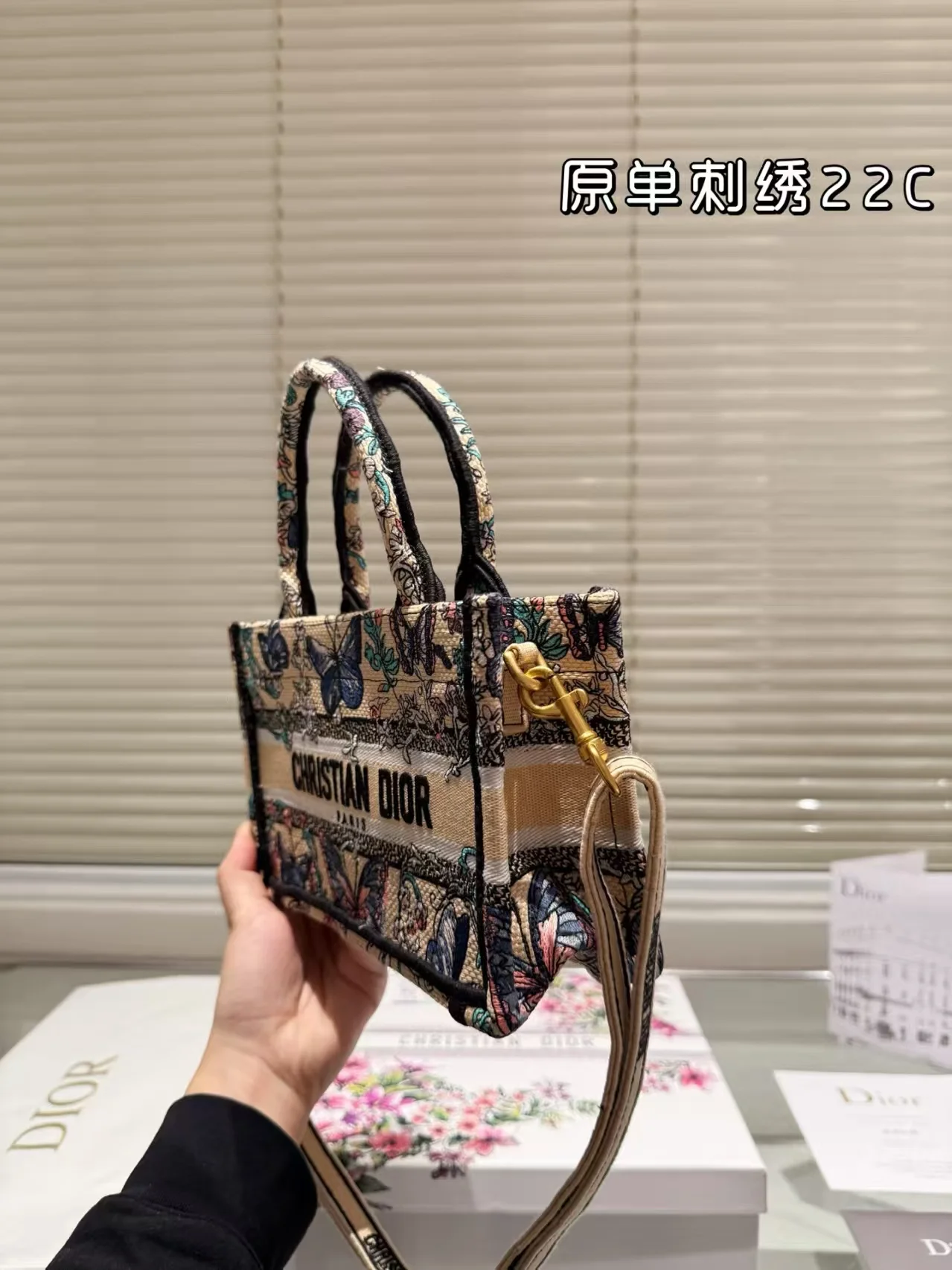 2025 Dior book tote - LITELUX
