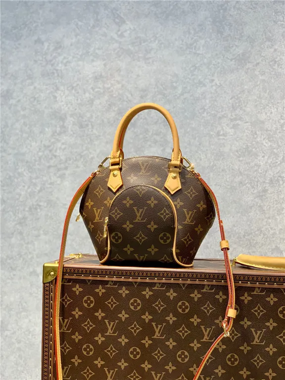 Louis Vuitton Bag - LITELUX