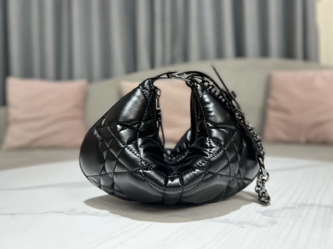 Dior bag - LITELUX
