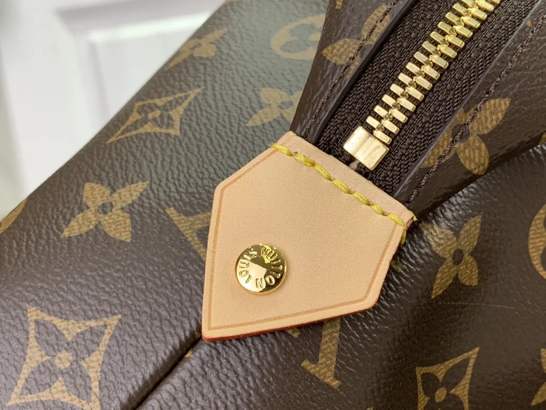 Louis Vuitton bag - LITELUX
