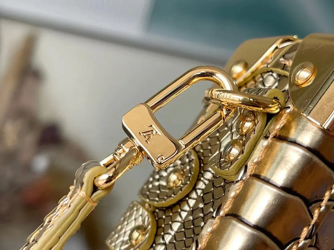 Louis Vuitton bag - LITELUX