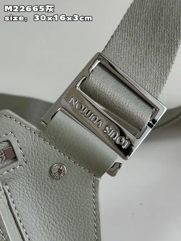 Louis Vuitton bag - LITELUX