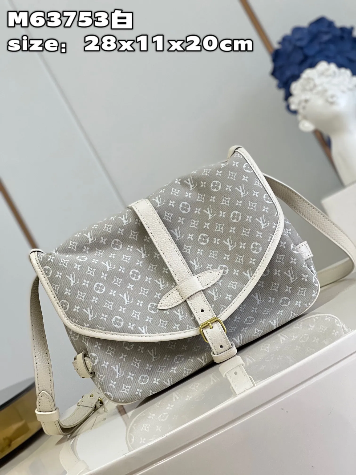 Louis Vuitton bag - LITELUX