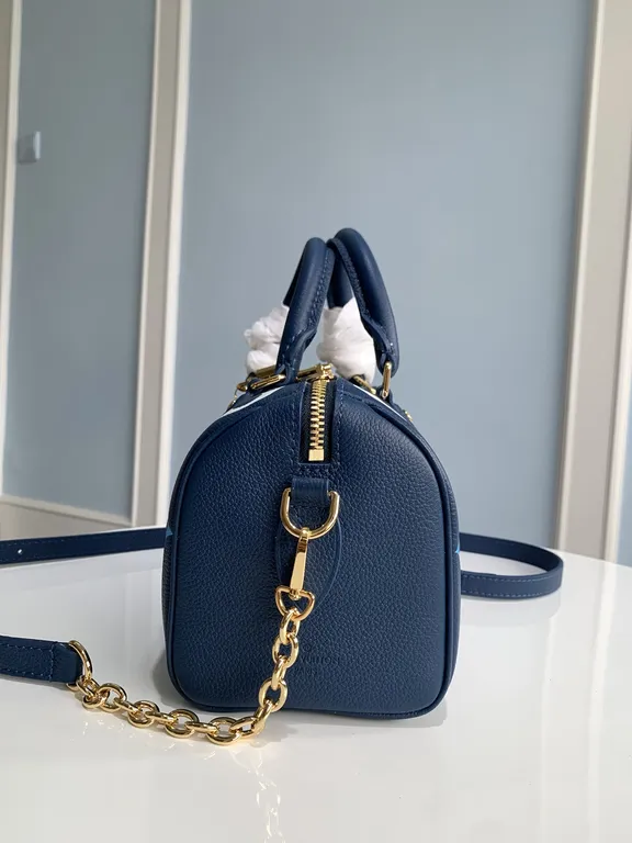 Louis Vuitton bag - LITELUX