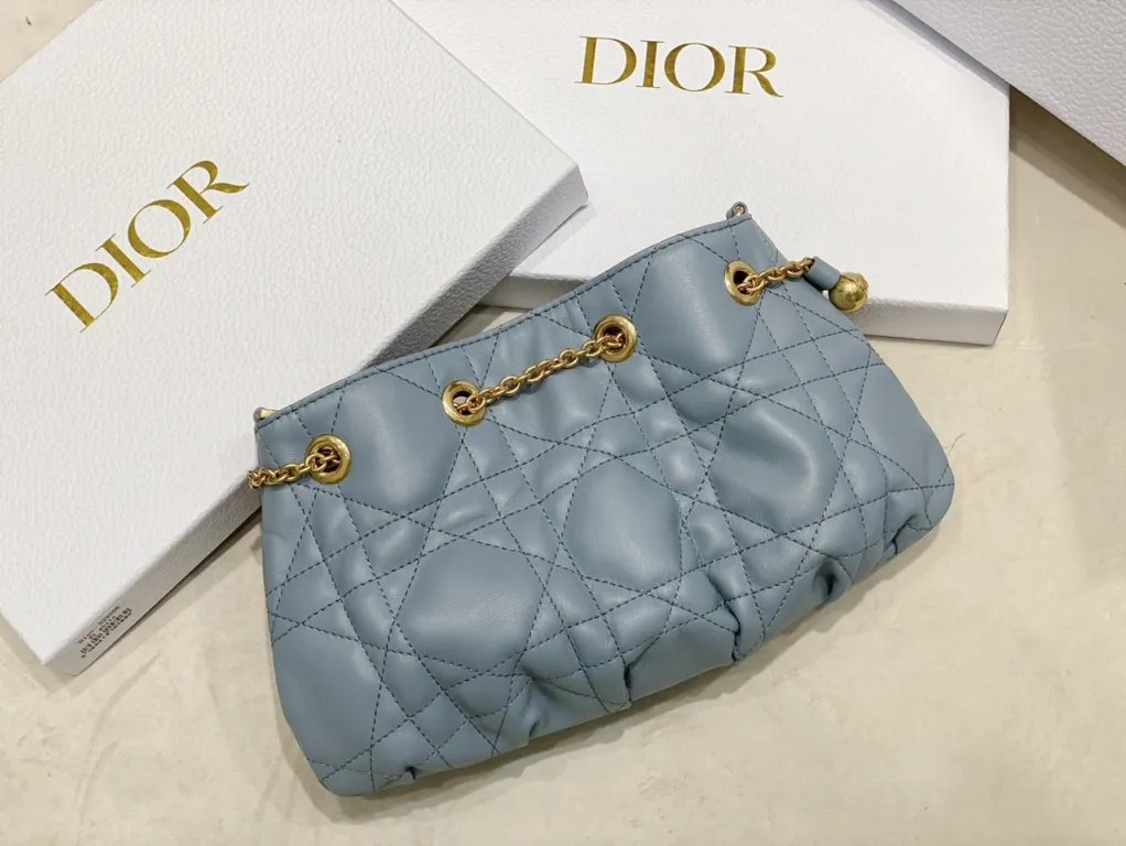 Dior bag - LITELUX